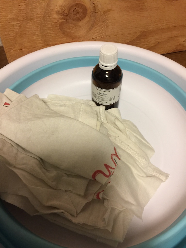 f:id:ecodesimplenaouti:20180901223224j:image