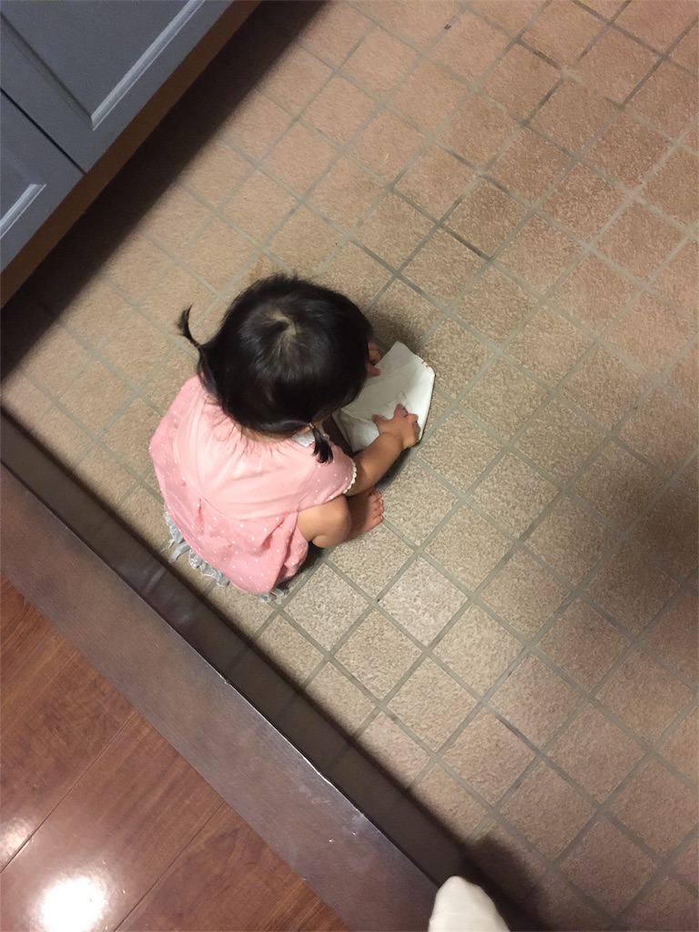 f:id:ecodesimplenaouti:20180901224403j:image