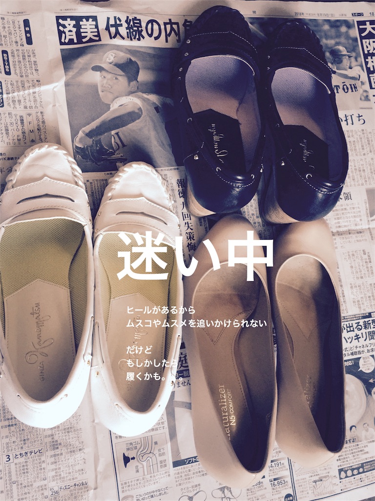 f:id:ecodesimplenaouti:20180902184140j:image