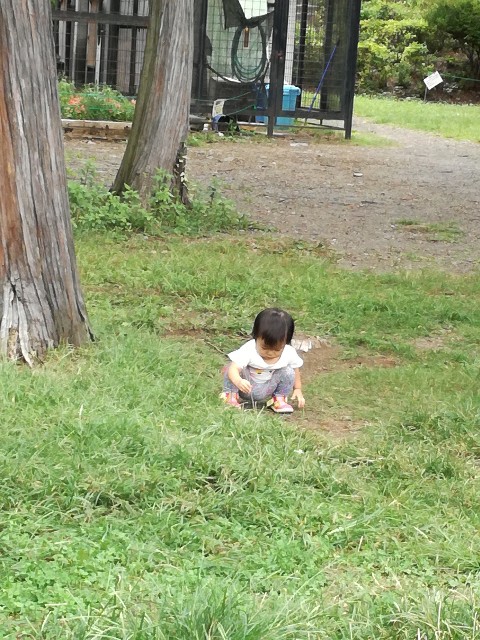 f:id:ecodesimplenaouti:20180926002540j:plain