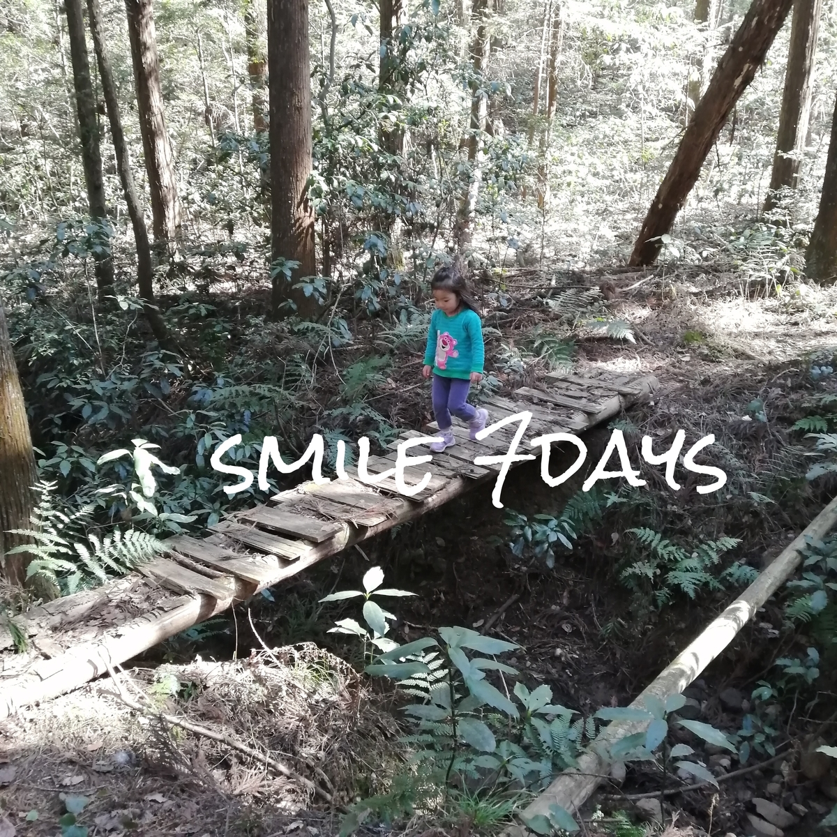 f:id:ecodesimplenaouti:20210228065346j:plain