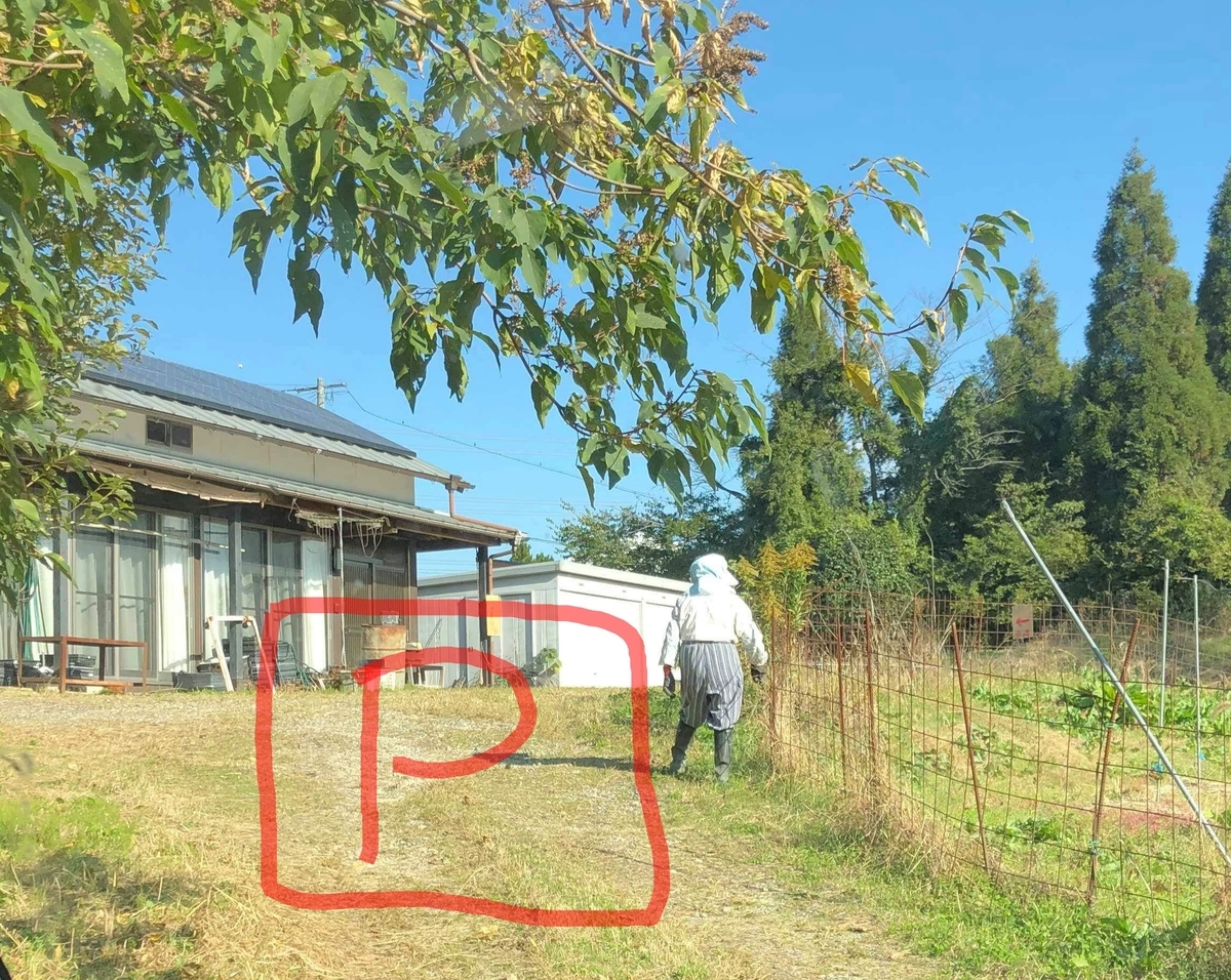 f:id:ecodomonews:20191109161850j:plain f:id:ecodomonews:20191109161850j:plain