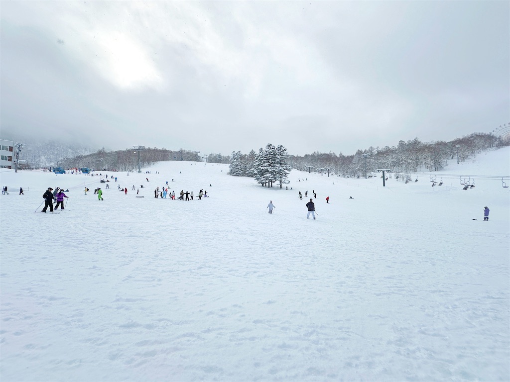 f:id:ecoecochang:20250202152809j:image