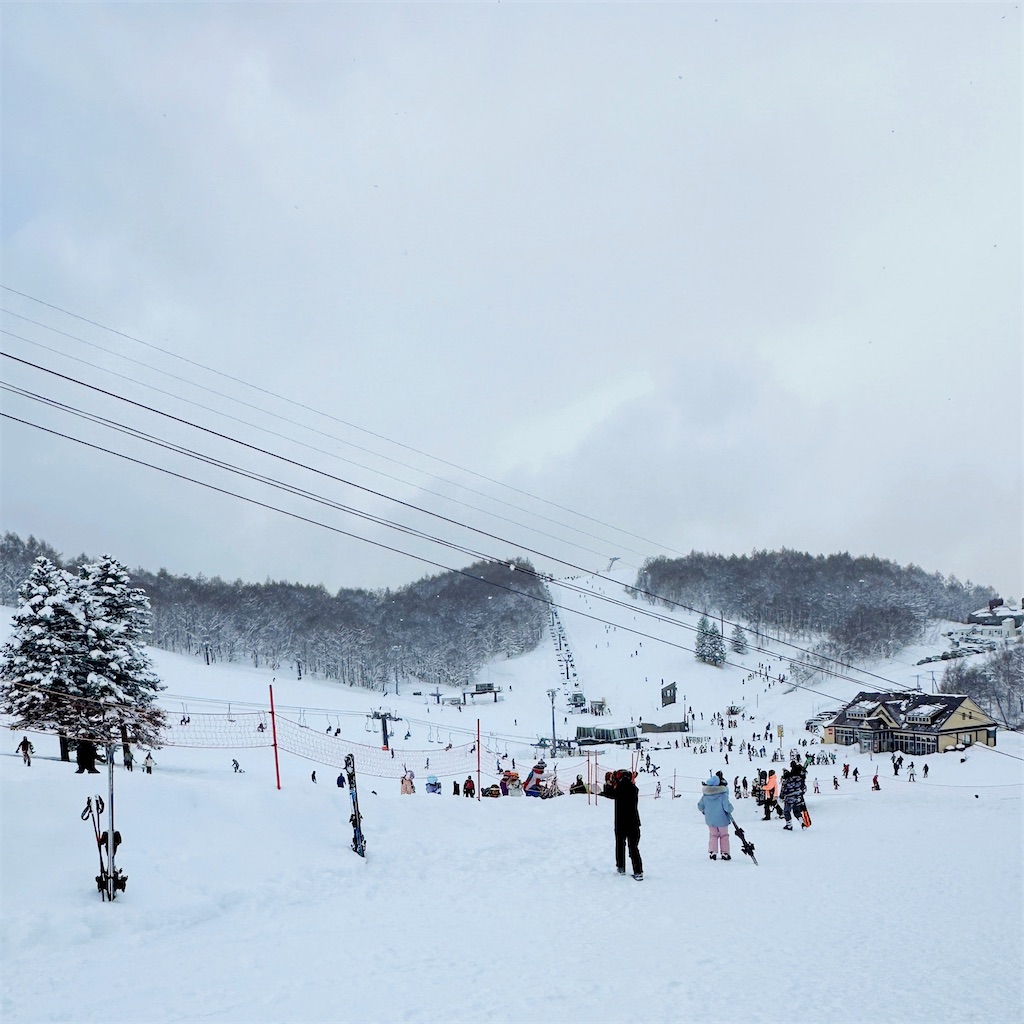 f:id:ecoecochang:20250202152812j:image