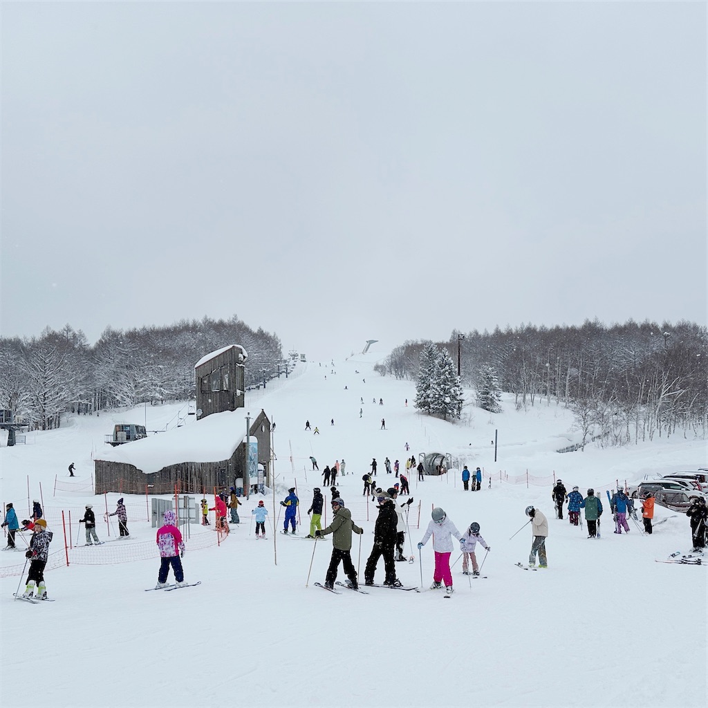 f:id:ecoecochang:20250202152846j:image