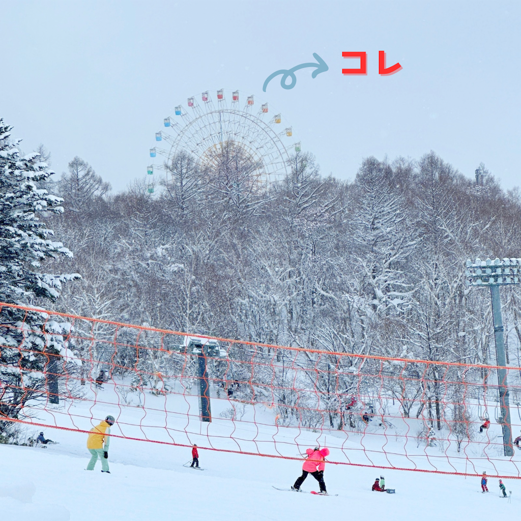 f:id:ecoecochang:20250202153942p:image