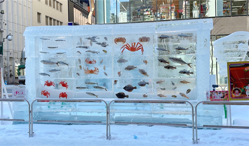 f:id:ecoecochang:20250211075540j:image