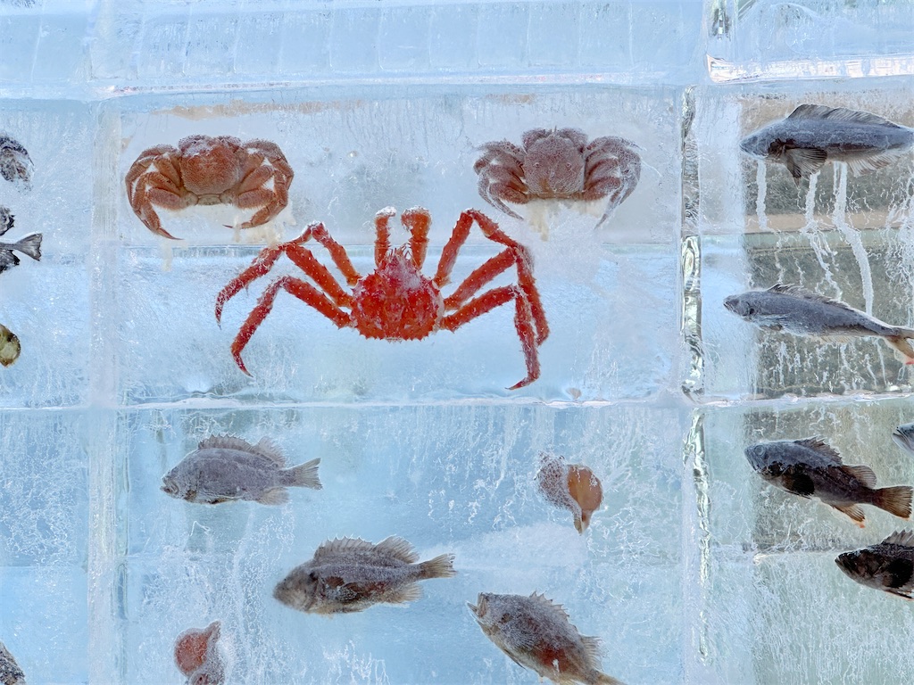 f:id:ecoecochang:20250211075544j:image