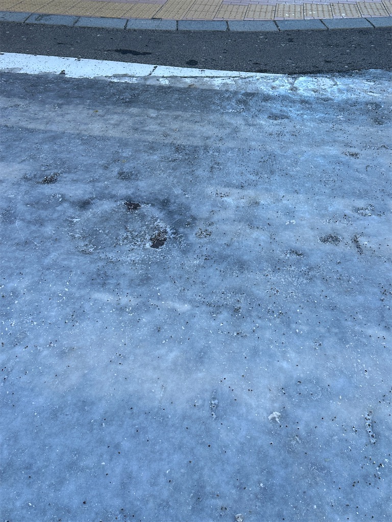 f:id:ecoecochang:20250211075643j:image