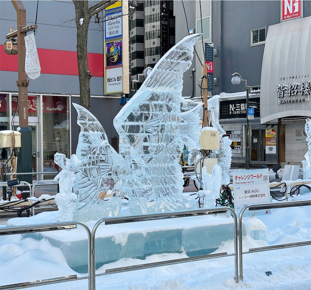 f:id:ecoecochang:20250211075709j:image