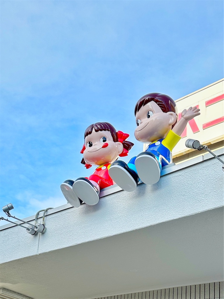 f:id:ecoecochang:20250227110310j:image