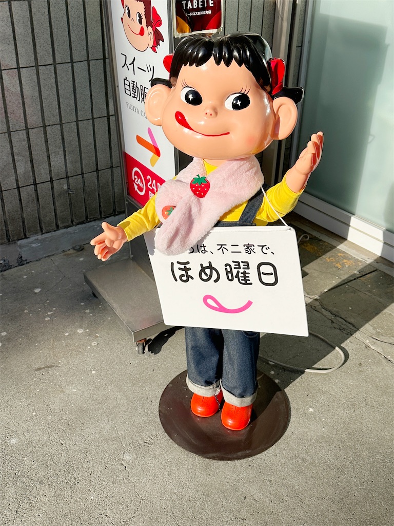 f:id:ecoecochang:20250227110419j:image