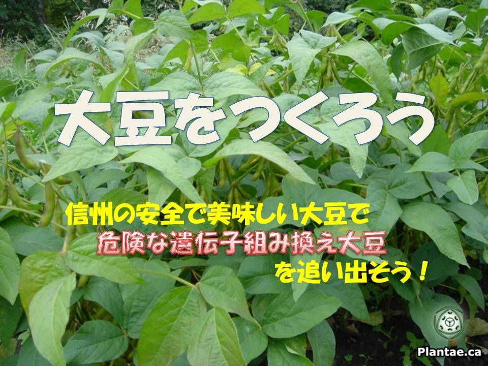 f:id:ecofarmtateshina:20180601045809j:plain