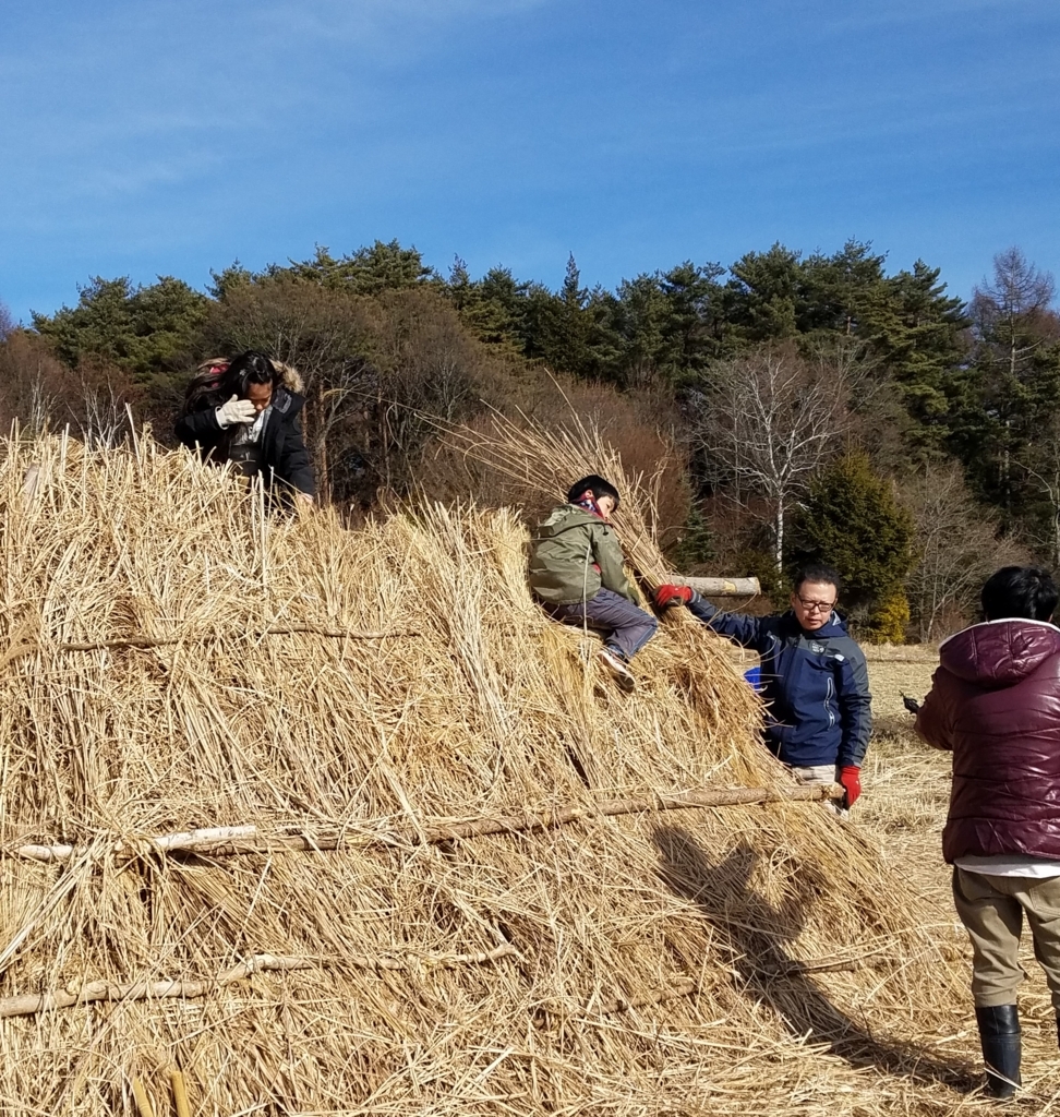f:id:ecofarmtateshina:20180601060222j:plain