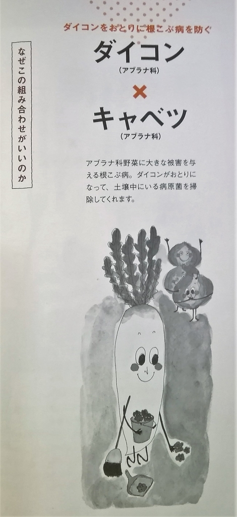 f:id:ecofarmtateshina:20190202090634j:plain