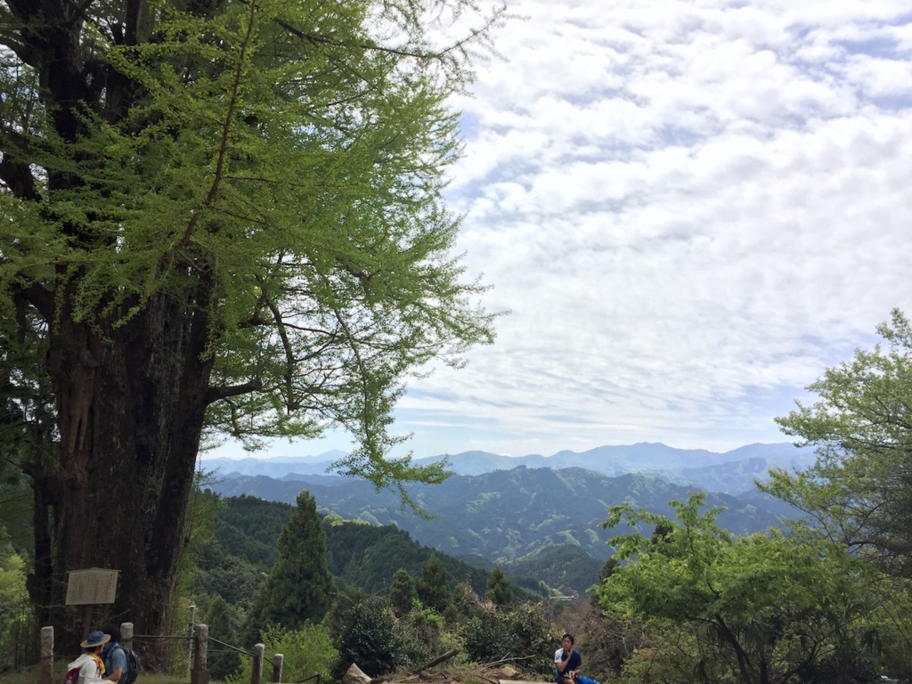 f:id:ecogroove:20170504120015j:plain f:id:ecogroove:20170504120015j:plain