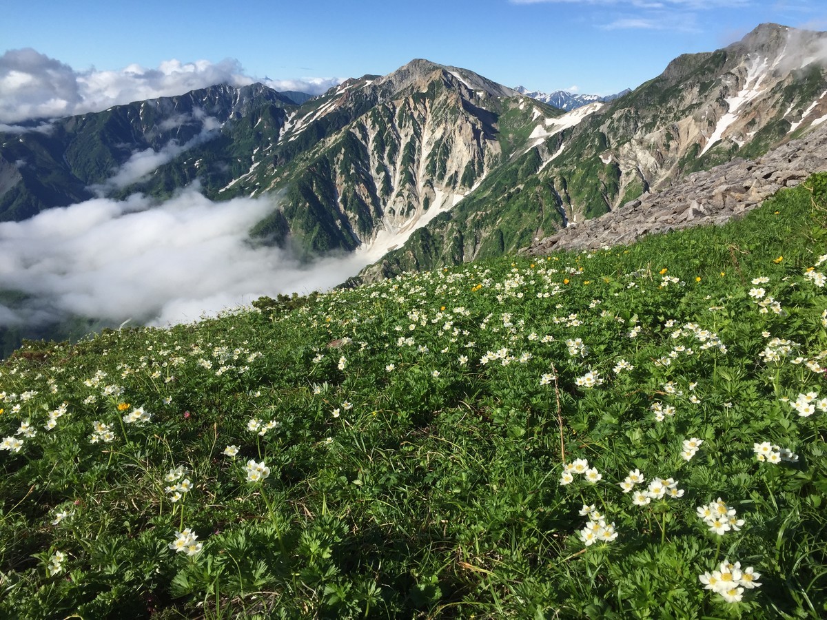 f:id:ecogroove:20190727065645j:plain