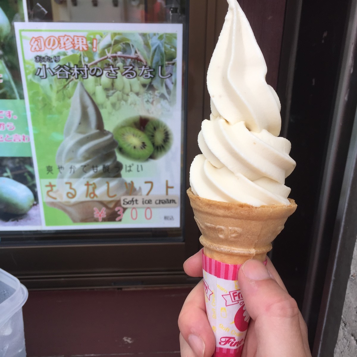 f:id:ecogroove:20190727114440j:plain