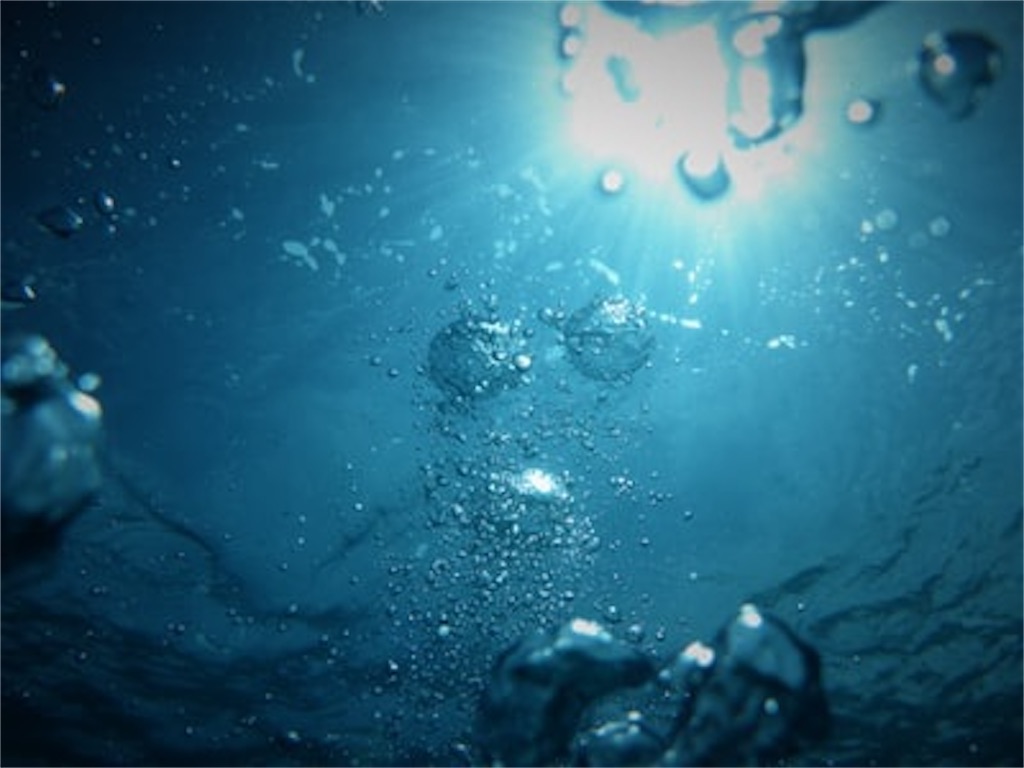 f:id:ecokico12:20201030121959j:image f:id:ecokico12:20201030121959j:image