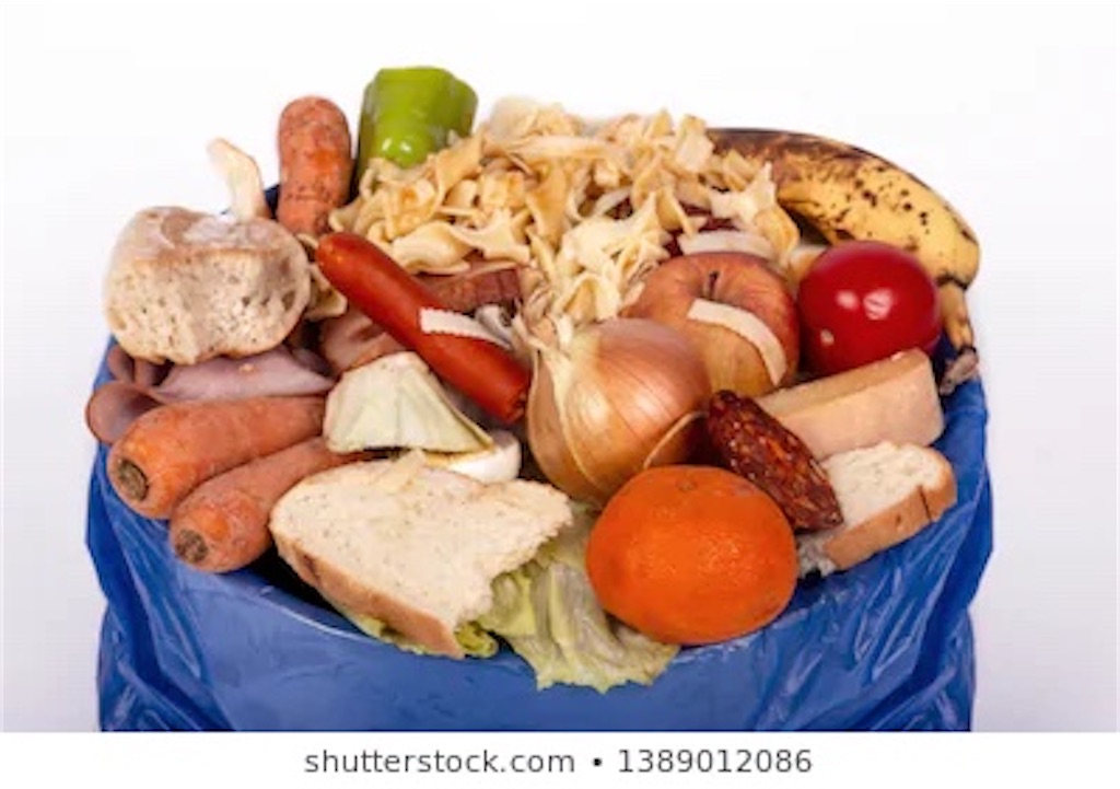 f:id:ecokico12:20201119160917j:image