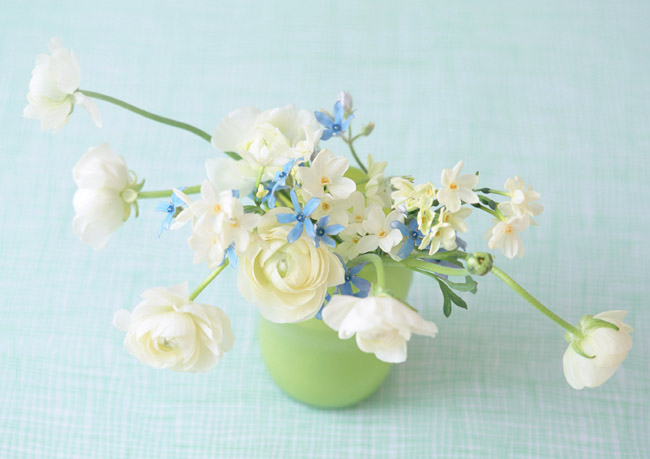 f:id:ecolopy:20191126222515j:plain