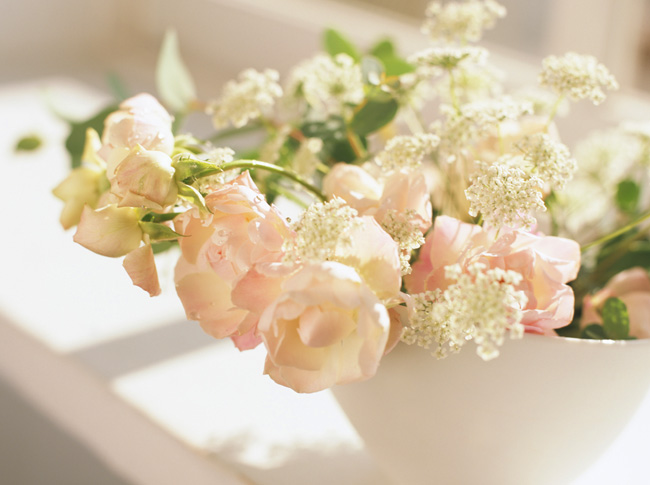f:id:ecolopy:20191206215912j:plain