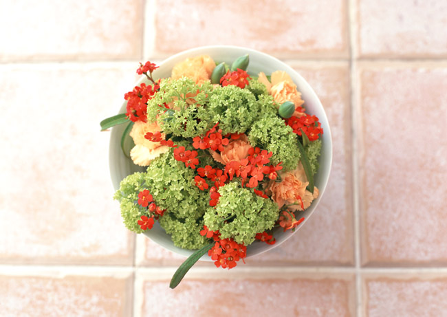 f:id:ecolopy:20191210211339j:plain