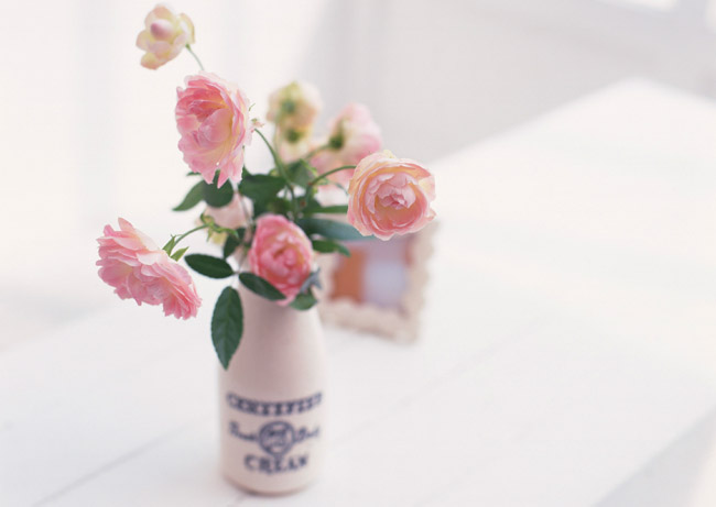 f:id:ecolopy:20191215170546j:plain