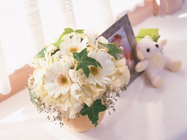 f:id:ecolopy:20191217221923j:plain