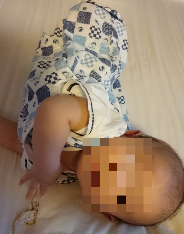 f:id:ecoma5:20190606100126j:plain