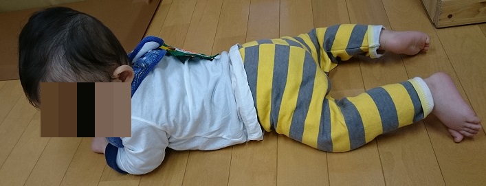 f:id:ecoma5:20190606105956j:plain
