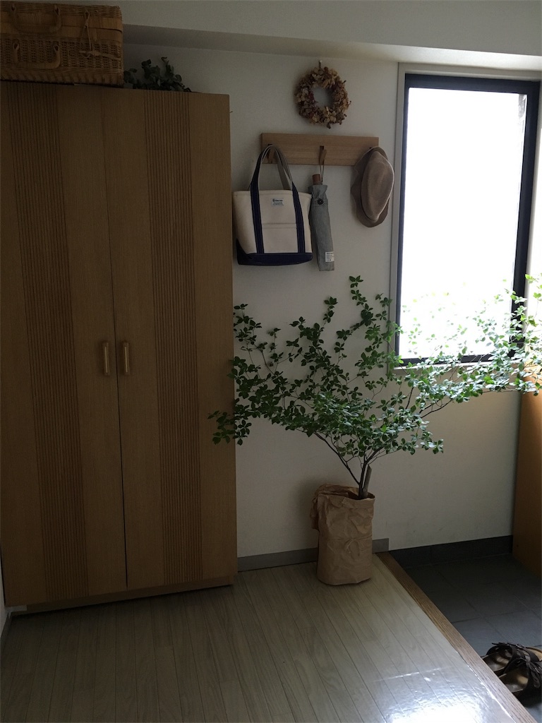 f:id:econaseikatsu:20160702024630j:image