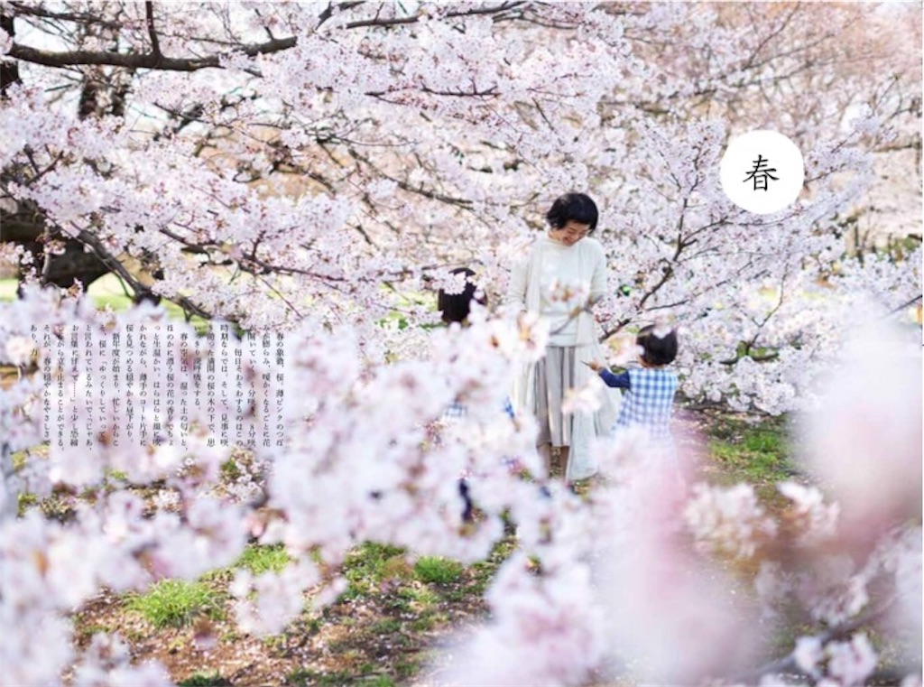 f:id:econaseikatsu:20170405092056j:image