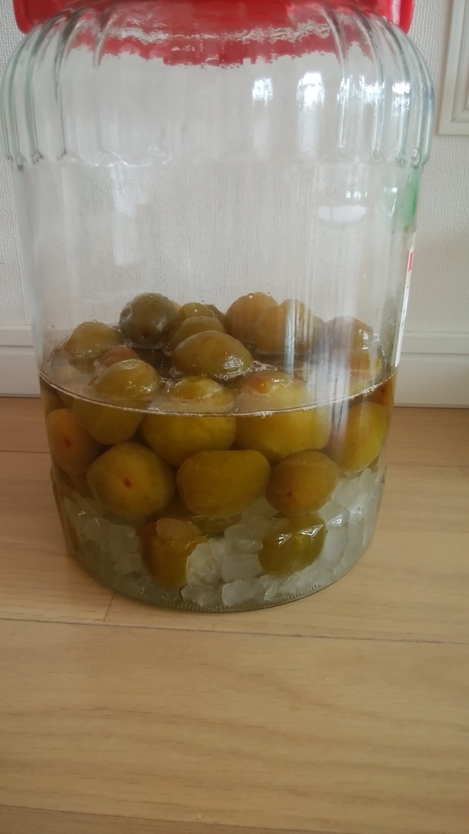 f:id:econayukorin:20190621132246j:plain f:id:econayukorin:20190621132246j:plain