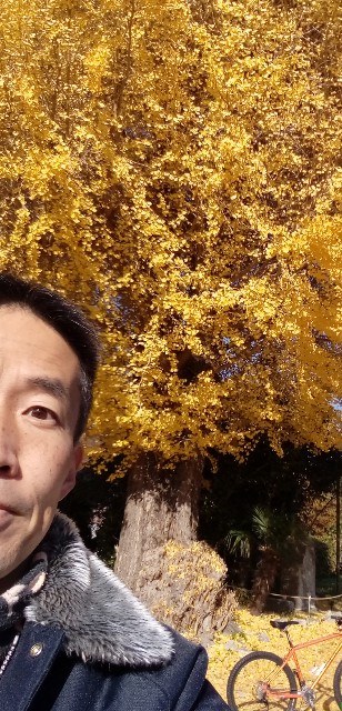 f:id:ecotencyo:20211126132709j:image