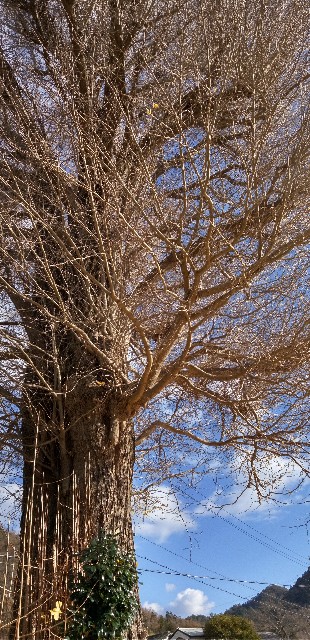 f:id:ecotencyo:20211201205007j:image