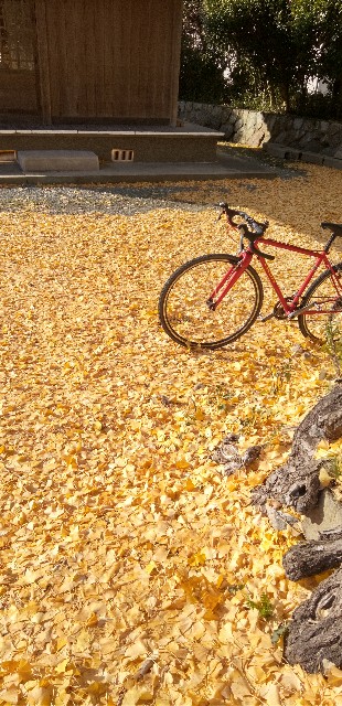f:id:ecotencyo:20211201205039j:image