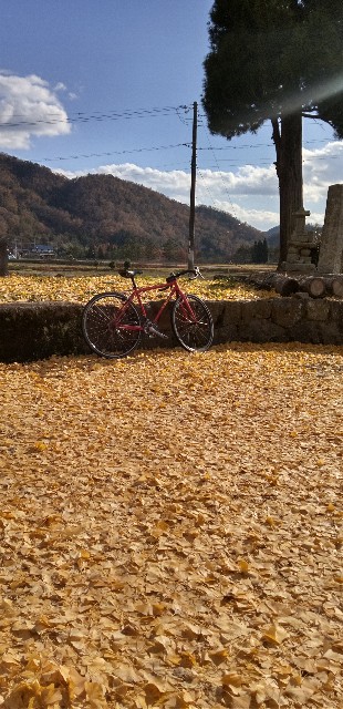 f:id:ecotencyo:20211201205135j:image