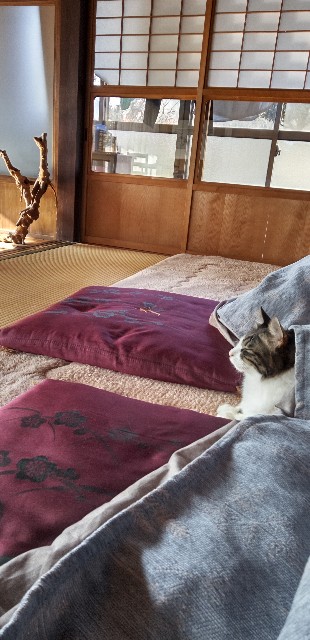 f:id:ecotencyo:20220129223808j:image