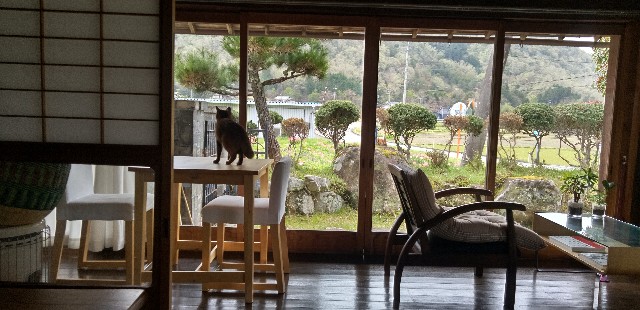 f:id:ecotencyo:20220415233312j:image