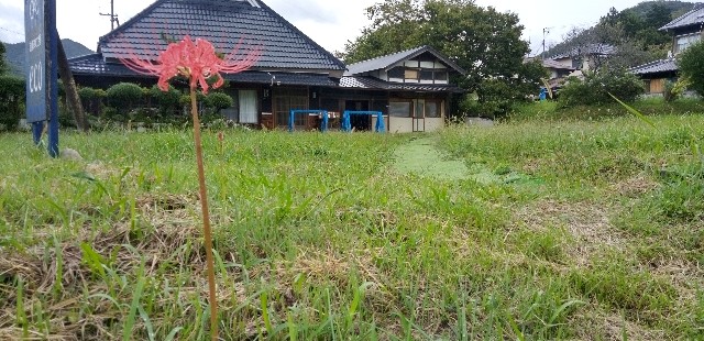 f:id:ecotencyo:20220923221504j:image