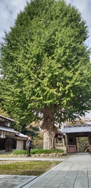 f:id:ecotencyo:20221018201849j:image