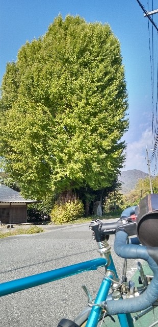 f:id:ecotencyo:20221104111444j:image