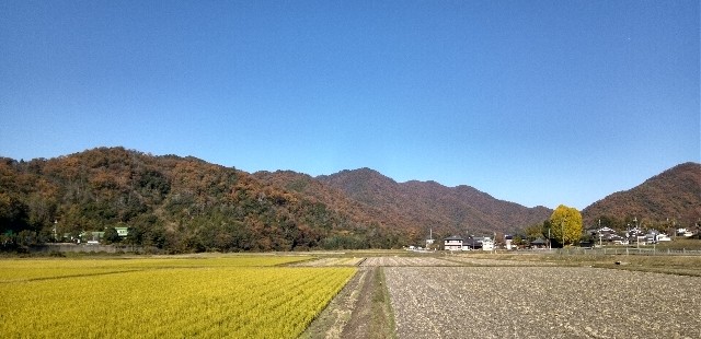 f:id:ecotencyo:20221115222210j:image