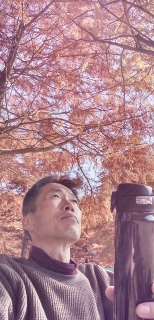 f:id:ecotencyo:20221115222249j:image