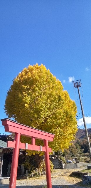 f:id:ecotencyo:20221118120400j:image