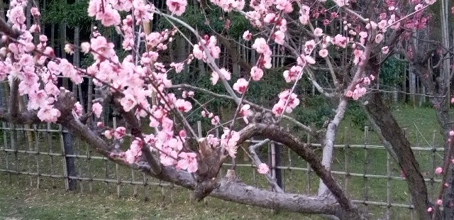 f:id:ecotencyo:20230304210526j:image
