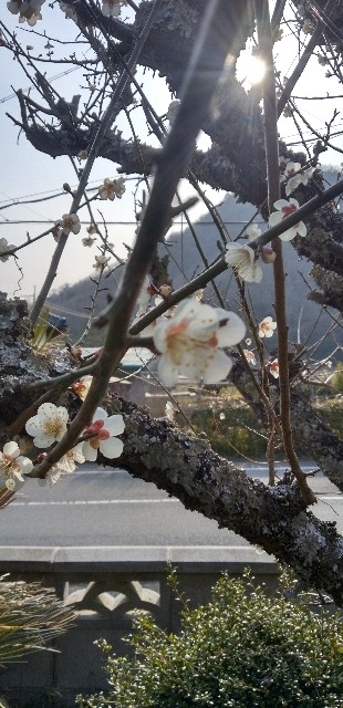 f:id:ecotencyo:20230308183142j:image