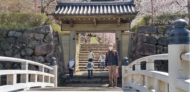 f:id:ecotencyo:20230330111653j:image