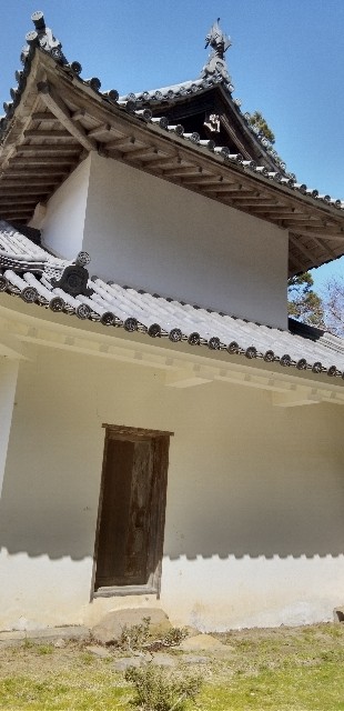 f:id:ecotencyo:20230330111835j:image